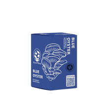Blue Oyster Mushroom Kit