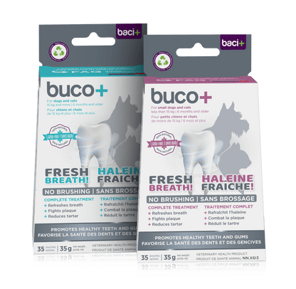 Buco+ 150mg – Natural Dental Care for Dogs and Cats +15KG