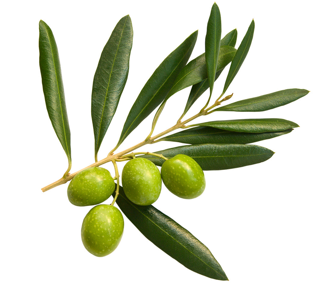 Huile d'olive vierge extra, 100 % Olives ITALIENNES, 500 ml