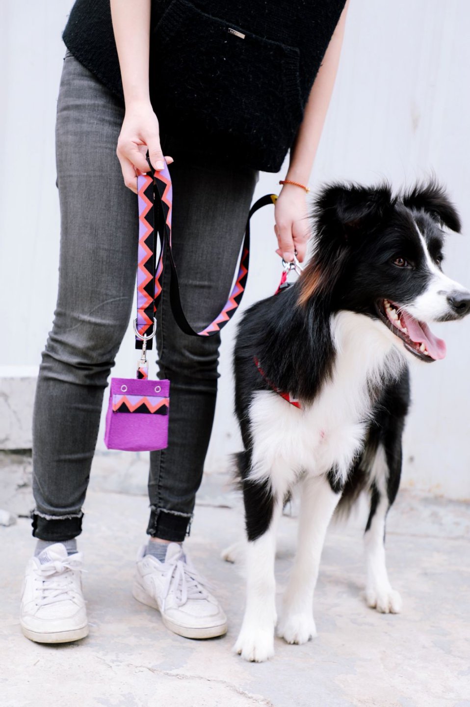 Momopets™ Série Arc-en-ciel – Distributeur de sacs à déjections canines en feutre