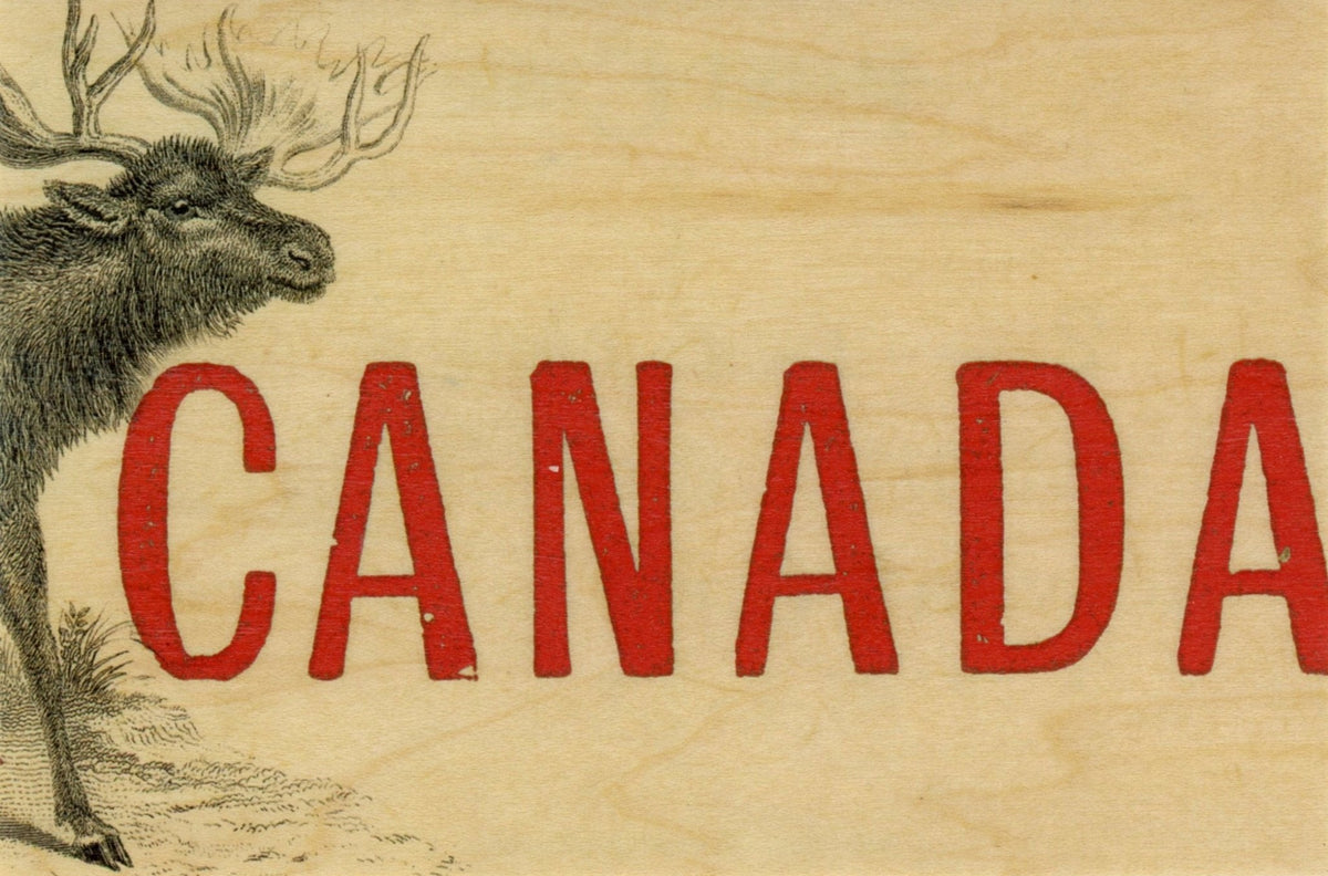 Wood Postcard - Canada Moose
