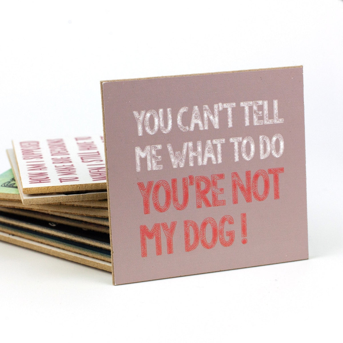 Coasters or Magnets - Can't Tell Me