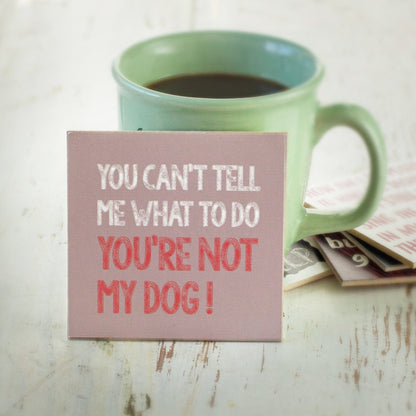 Coasters or Magnets - Can't Tell Me