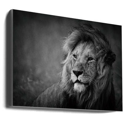 Décoration murale majestueuse. Lion