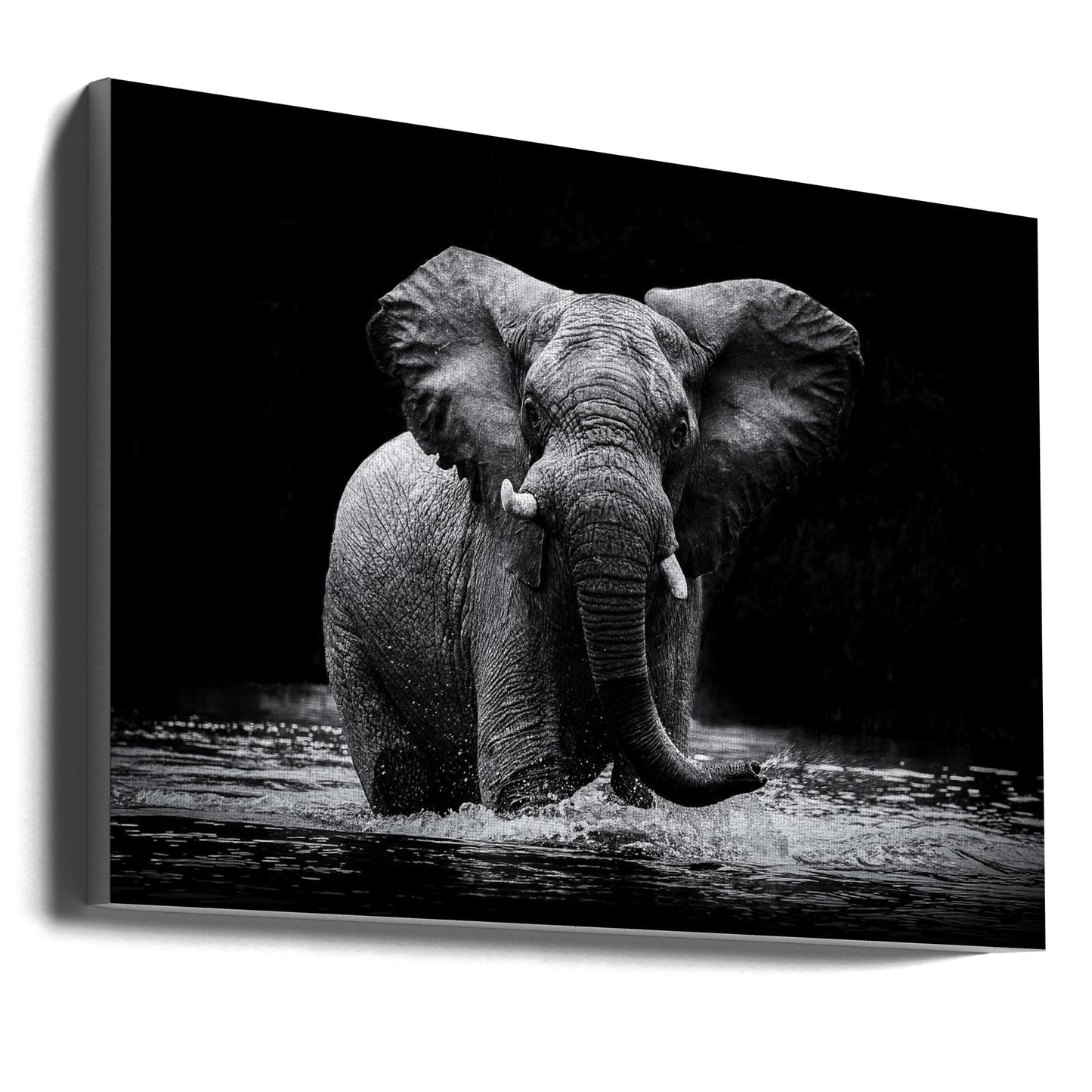 Art mural Power 1. Éléphant