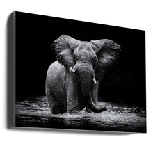 Art mural Power 1. Éléphant