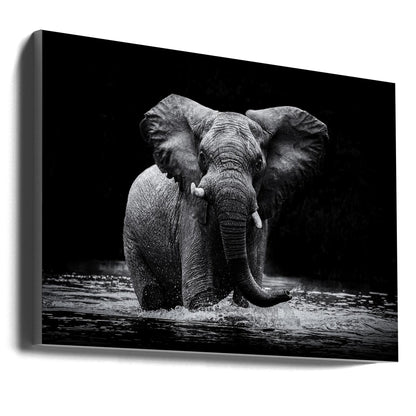 Art mural Power 1. Éléphant