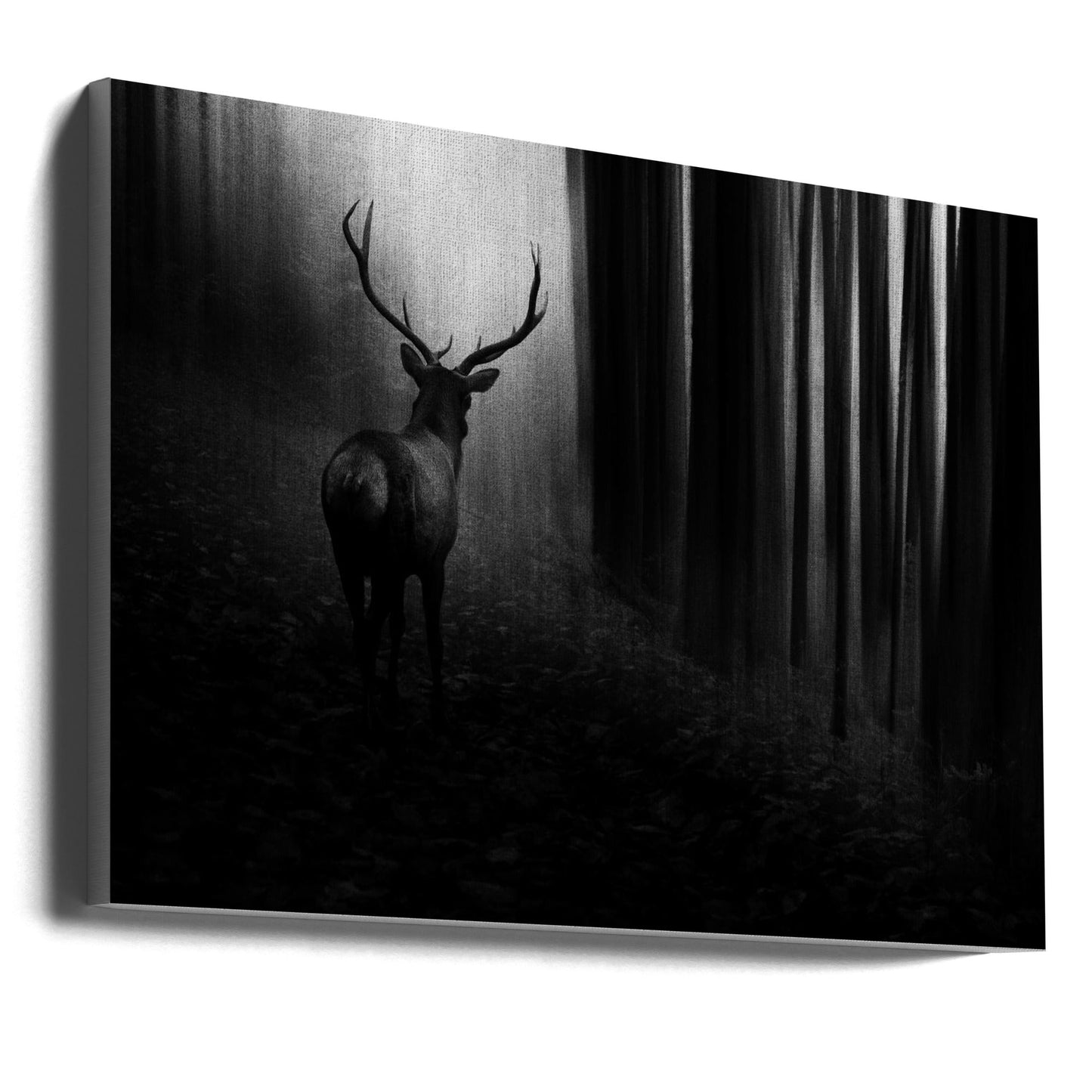 Art mural Cerf.