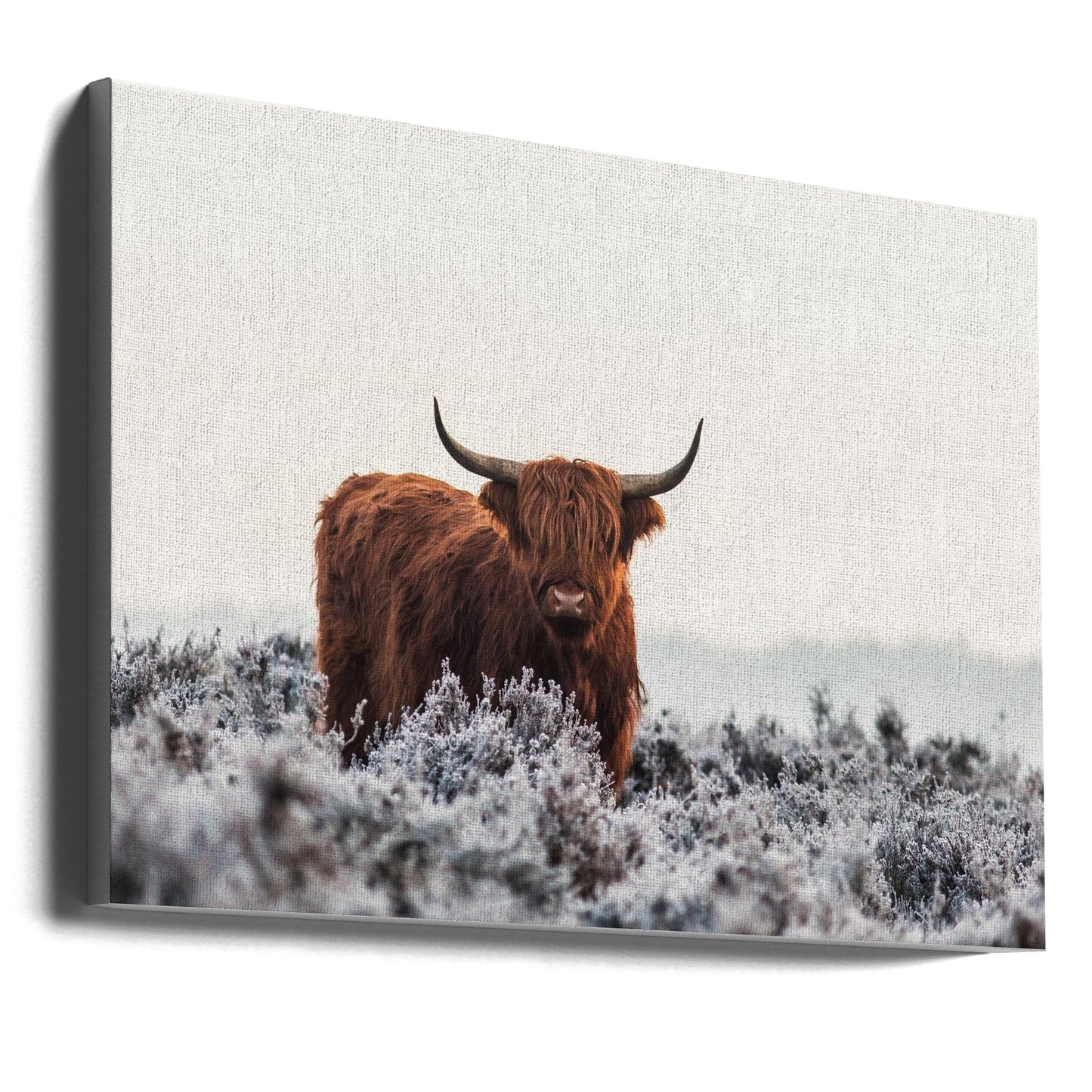 Décor mural Highlander