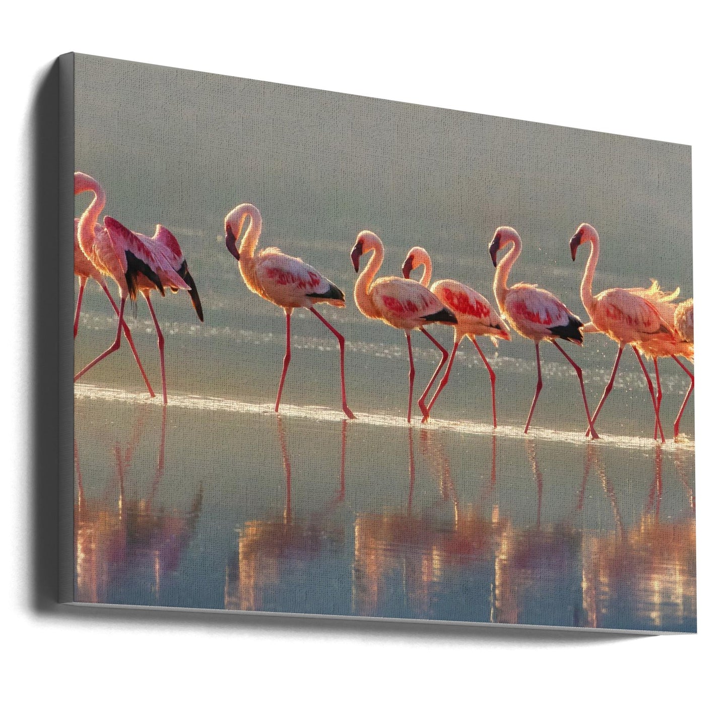 Art mural Paysage flamant rose