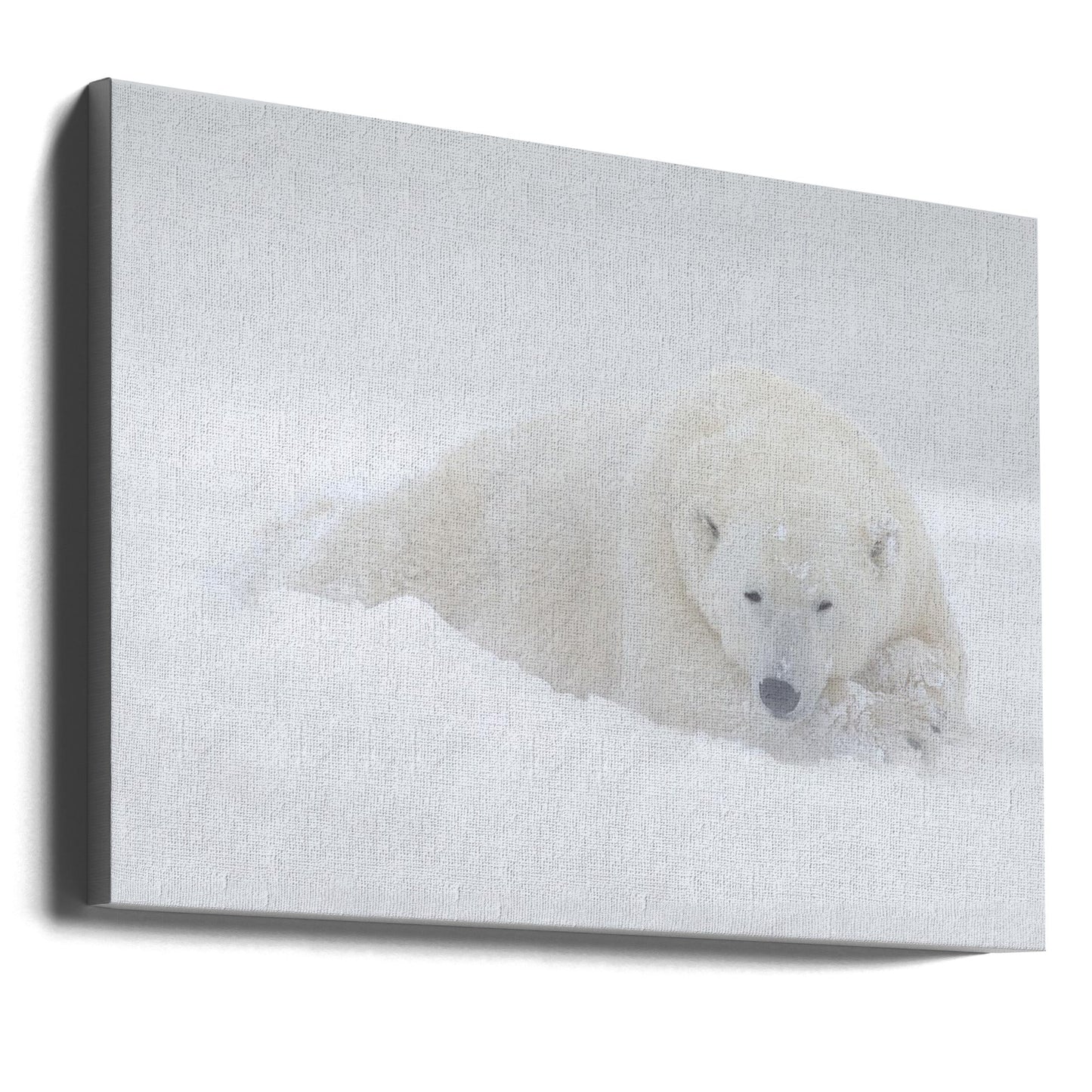 Art mural blanc