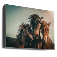 Art mural Portrait de famille Chevaux Impression sur toile