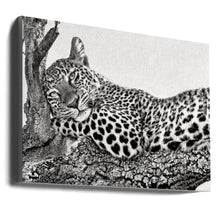 Time to rest Leopard