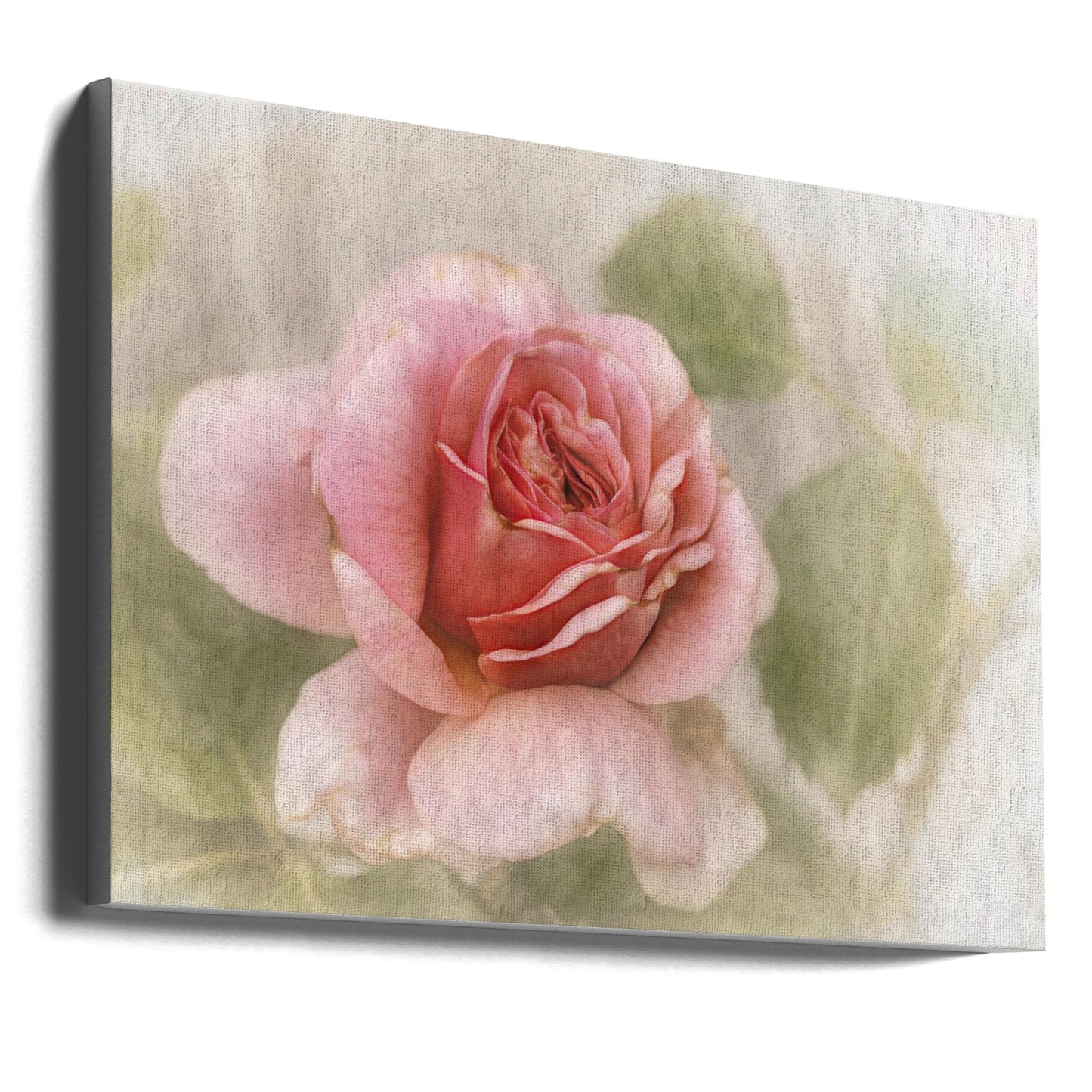 Décoration murale rose lisse
