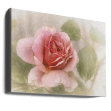 Décoration murale rose lisse