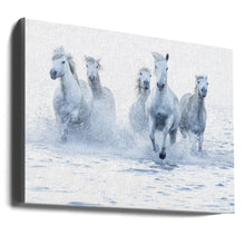 Art mural Chevaux au galop
