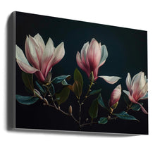 Décoration murale Jolies Magnolias 25