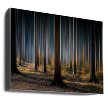 Wall art Mystic Wood