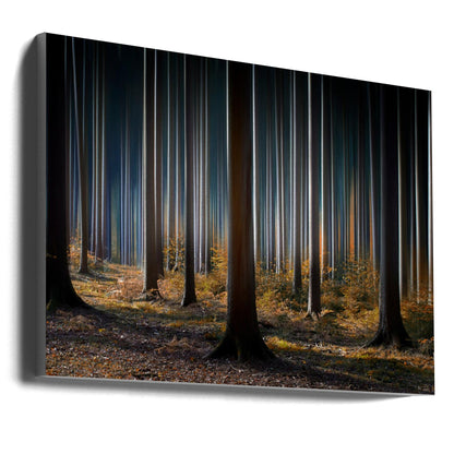 Wall art Mystic Wood