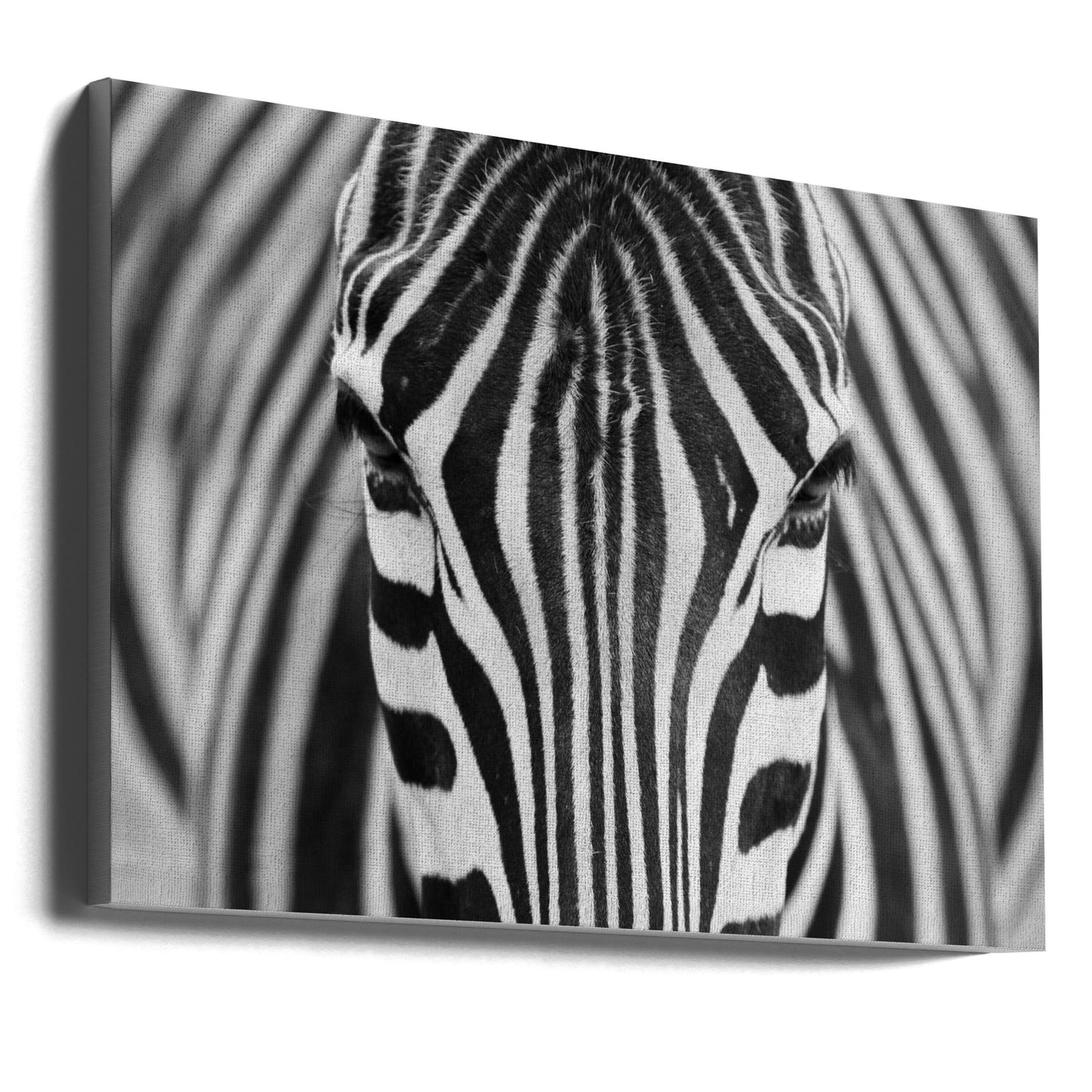Décoration murale Zepra