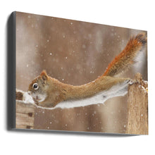 Wall art The Acrobat