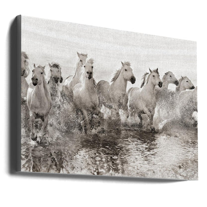 Décoration murale Illusion de puissance (13 chevaux seulement)