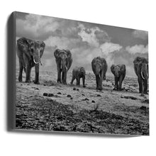 Décoration murale Grande Famille. Éléphants
