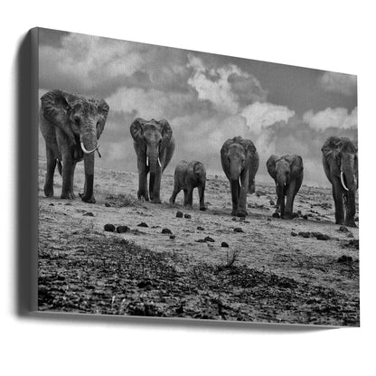 Décoration murale Grande Famille. Éléphants