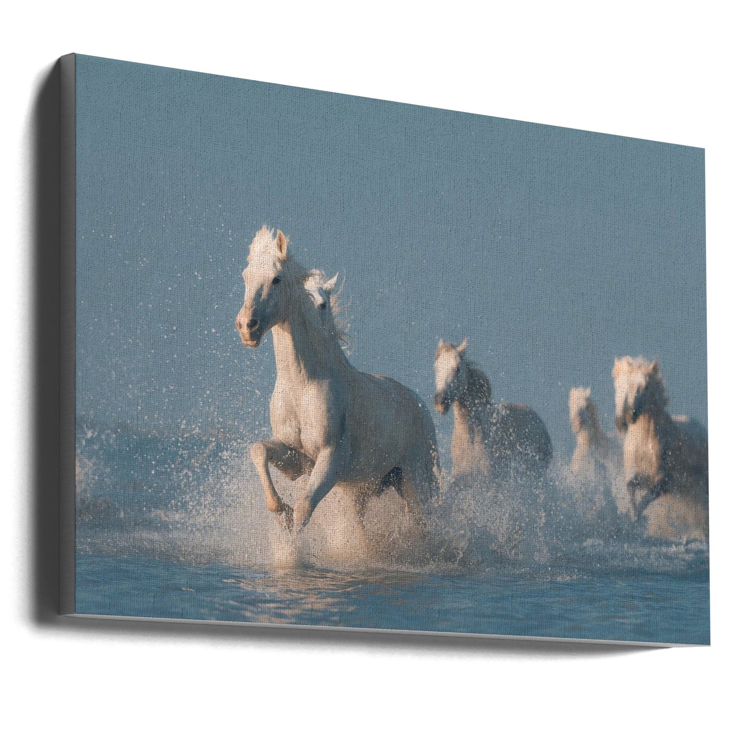Art mural Anges de Camargue. Cheval