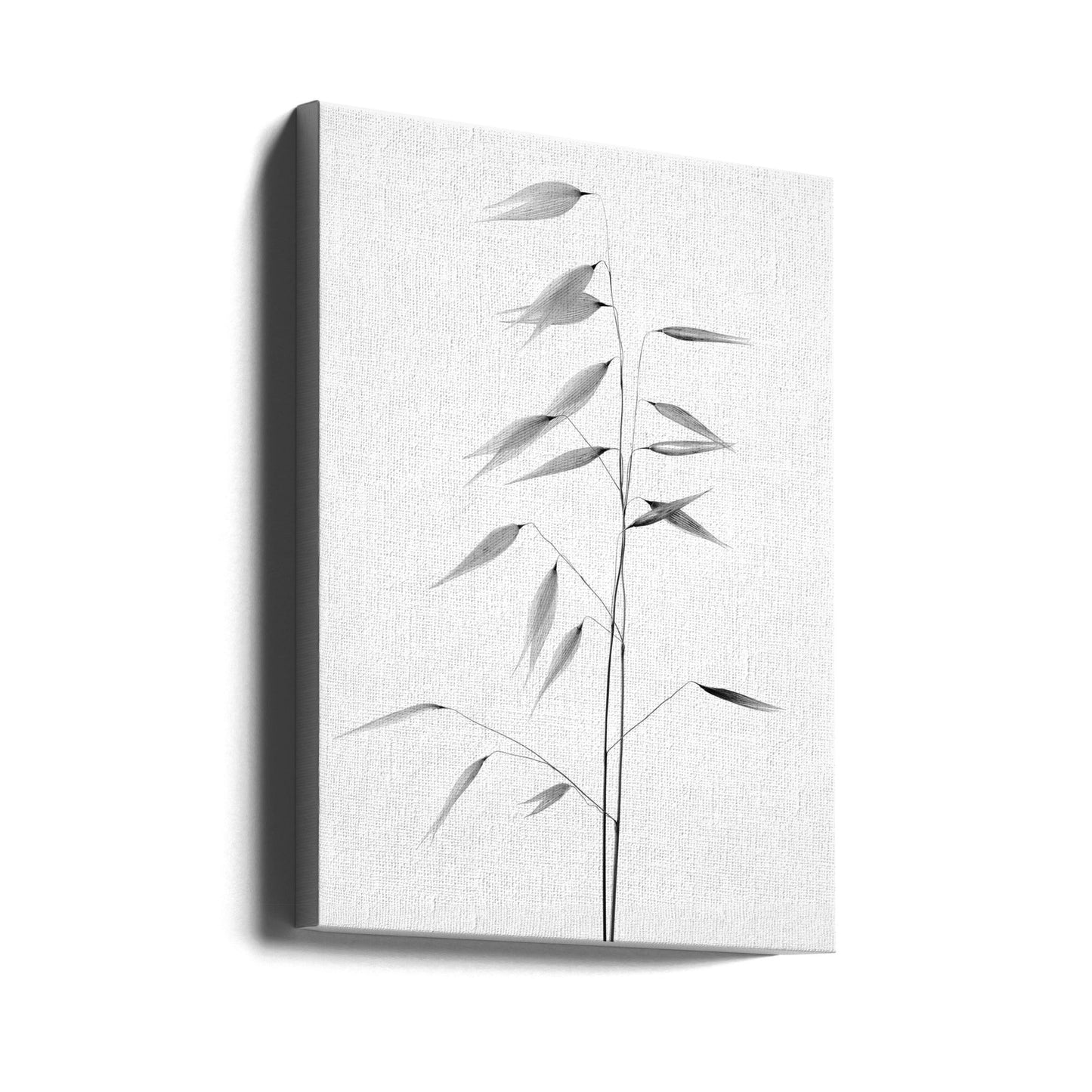 Décoration murale La netteté de la nature