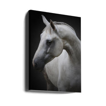 Wall art Maggie. Horse
