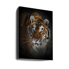 Décoration murale Portrait d'un tigre de Sibérie