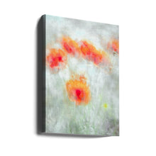 Fleurs de maïs rouges