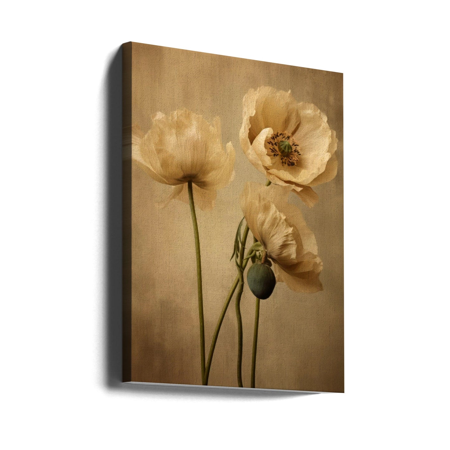 Art mural Coquelicots 24