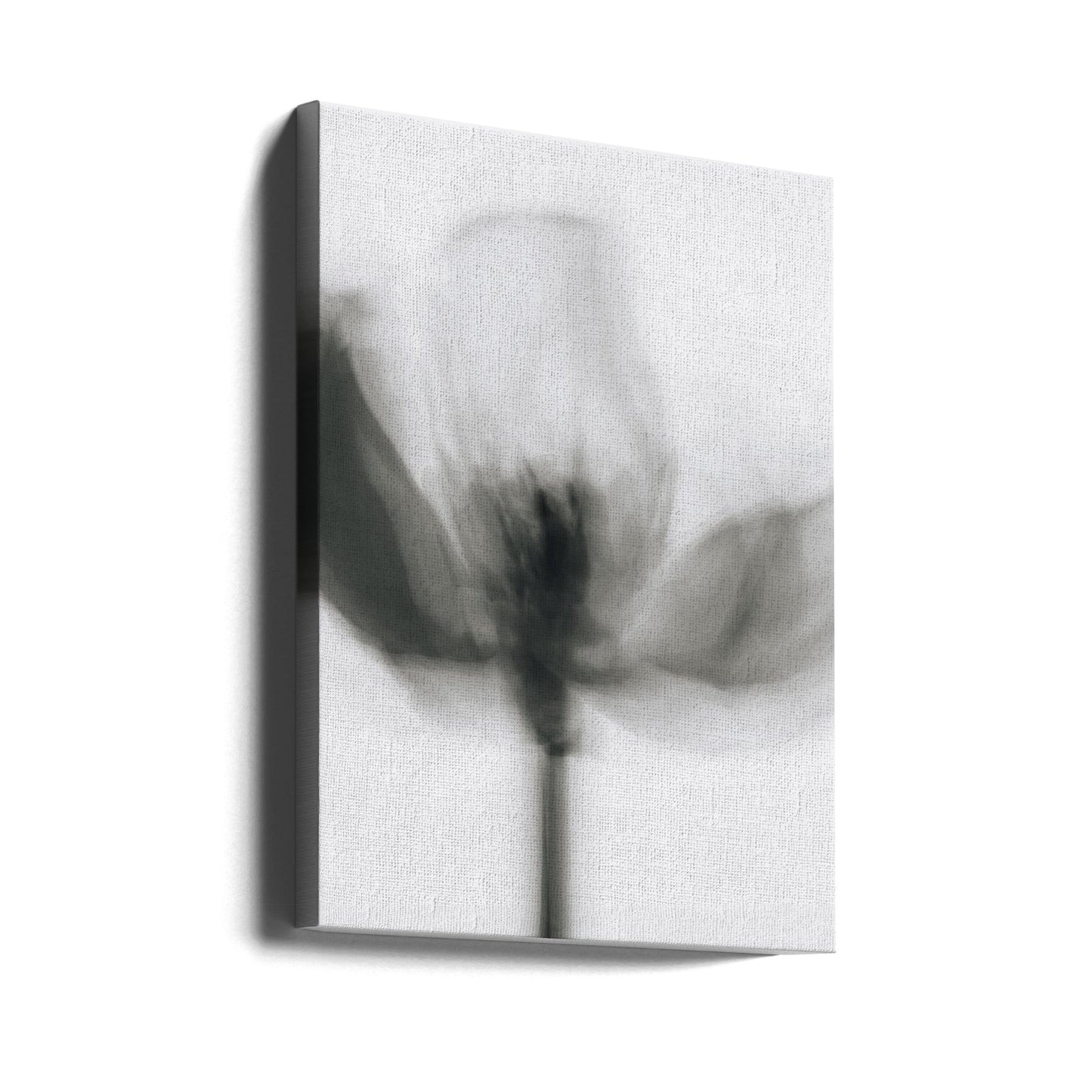 Art mural Tulipe monochrome