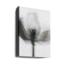 Art mural Tulipe monochrome