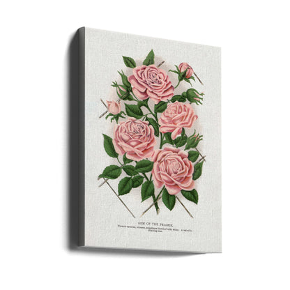 Art Mural Rose Rose, Lithographie Gemme de la Prairie