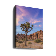 Art mural Atmosphère du soir à Joshua Tree
