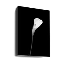 Décoration murale Calla | motif sombre