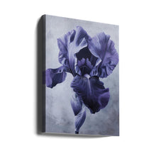Décoration murale Iris Fl 95