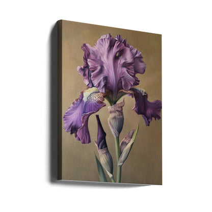 Décoration murale Iris Fl 101
