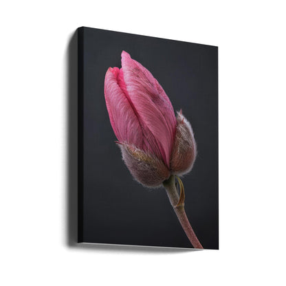 Art mural Tulipe Rose 1