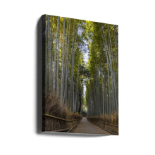 Art mural Forêt de bambous majestueuse d'Arashiyama