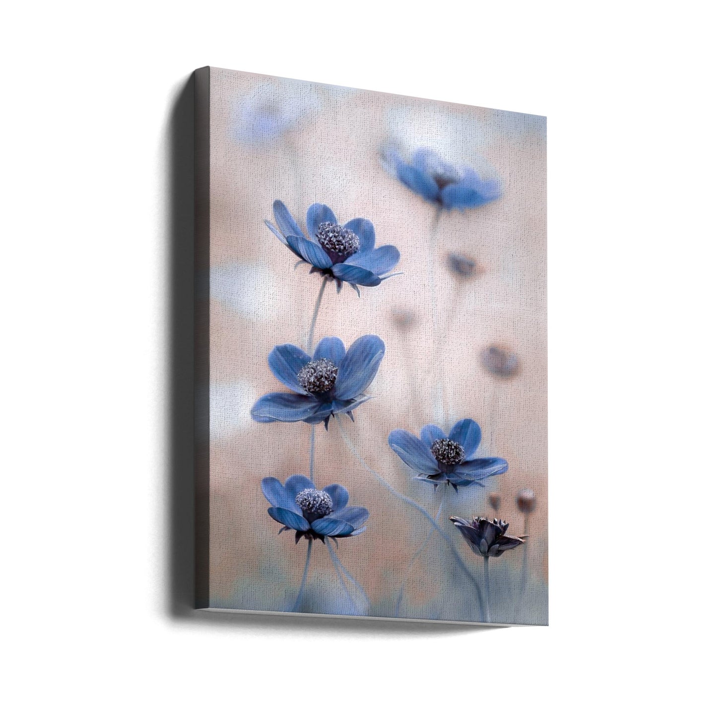 Art mural Cosmos bleu