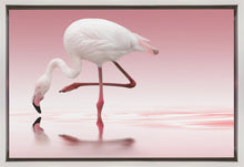 Décoration murale Flamant rose