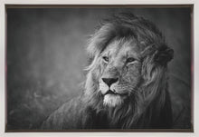 Décoration murale majestueuse. Lion