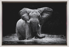 Art mural Power 1. Éléphant