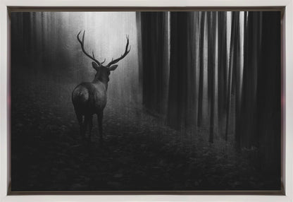 Art mural Cerf.