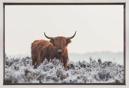 Décor mural Highlander