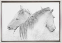 Chevaux